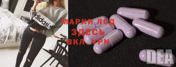 стафф Арсеньев
