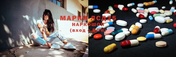 стафф Арсеньев
