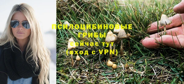 стафф Арсеньев