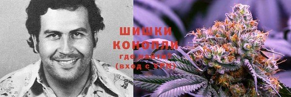 винт Аркадак