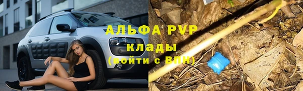 винт Аркадак