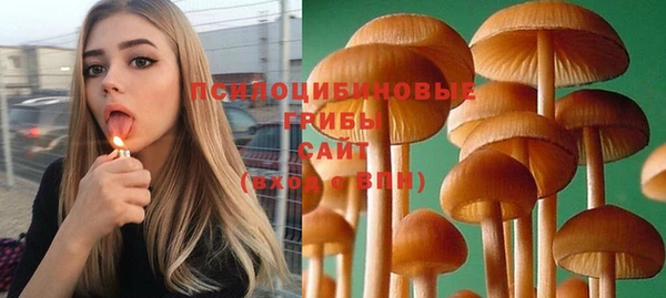 винт Аркадак