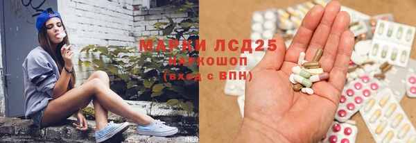 стафф Арсеньев